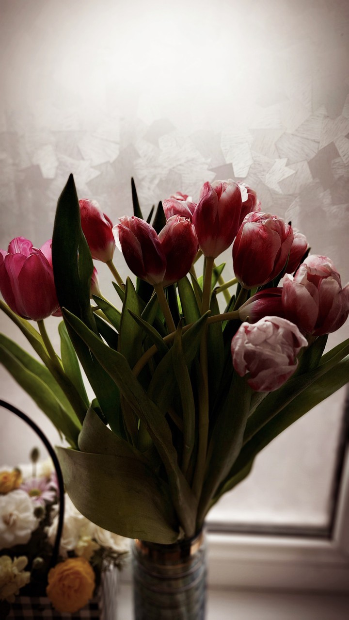 цветы flowers