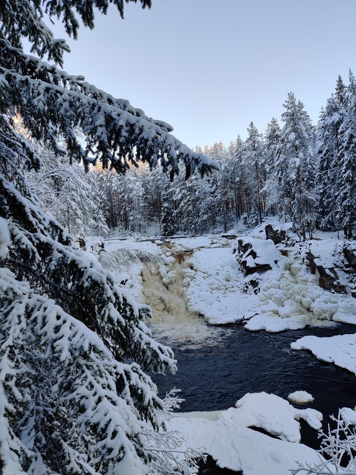 Winter