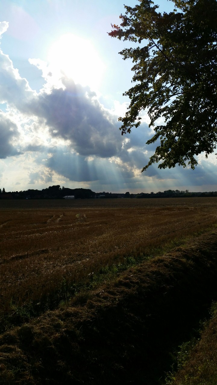 Evening sun