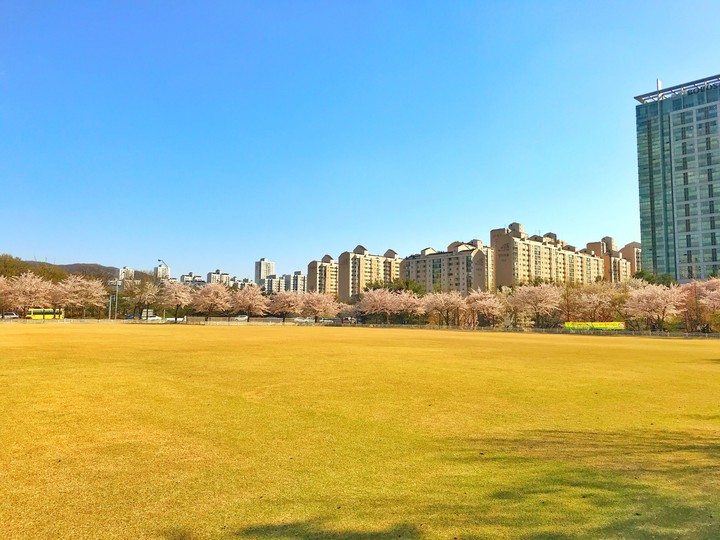 Bundang Park