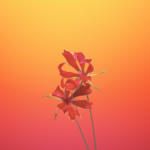iphone 8_5