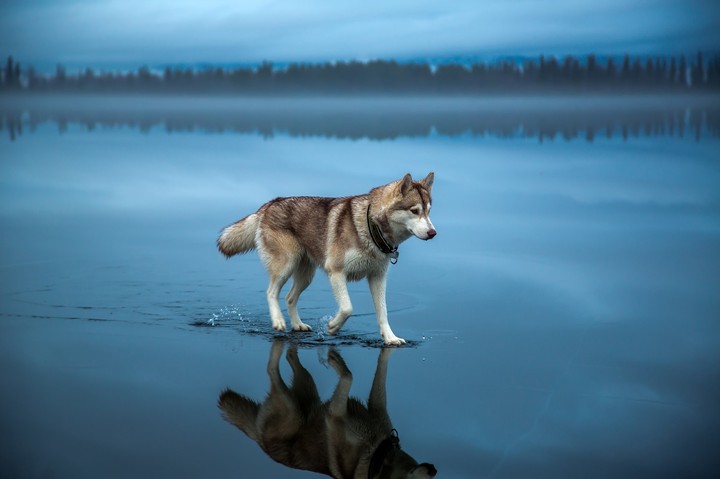 alone