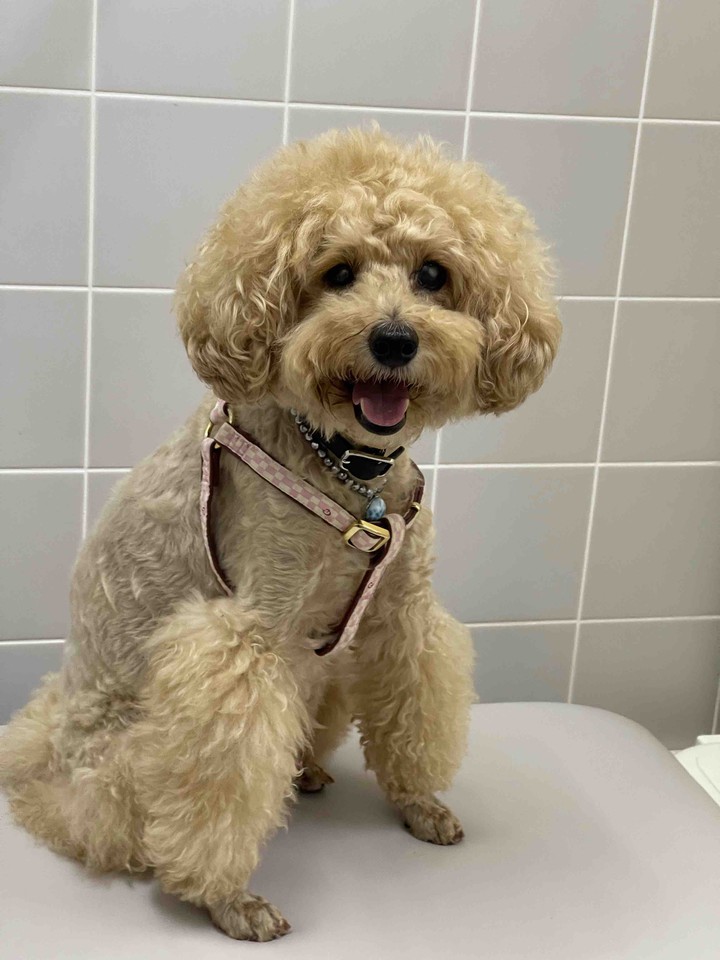Lucky