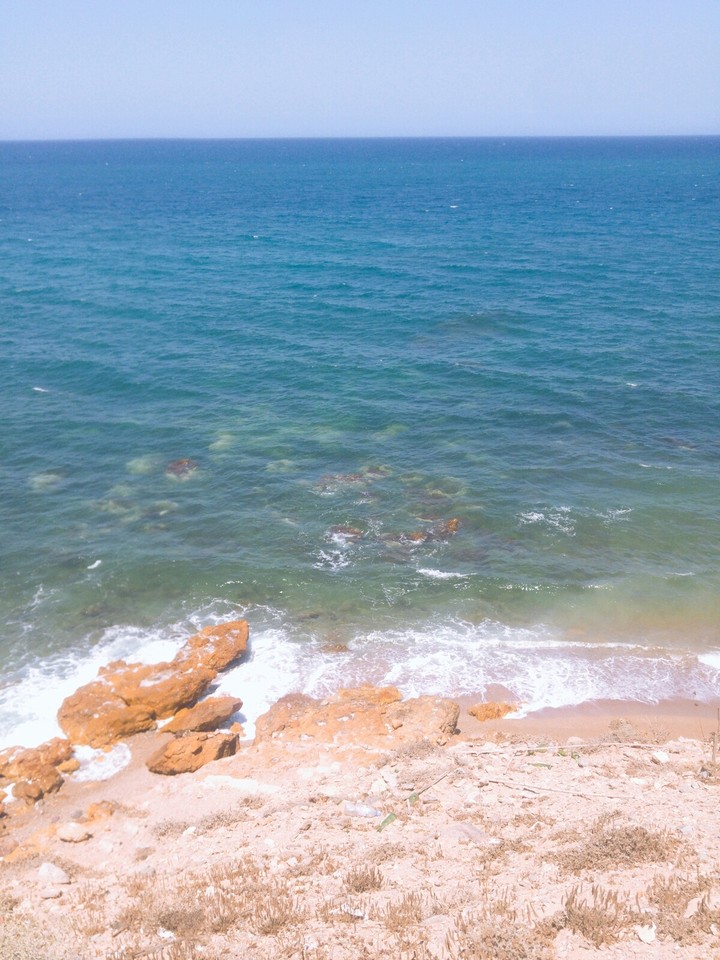 Nice Day 