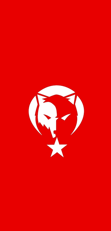 Türk bayrağı
