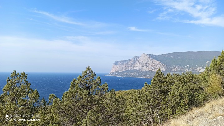 sea