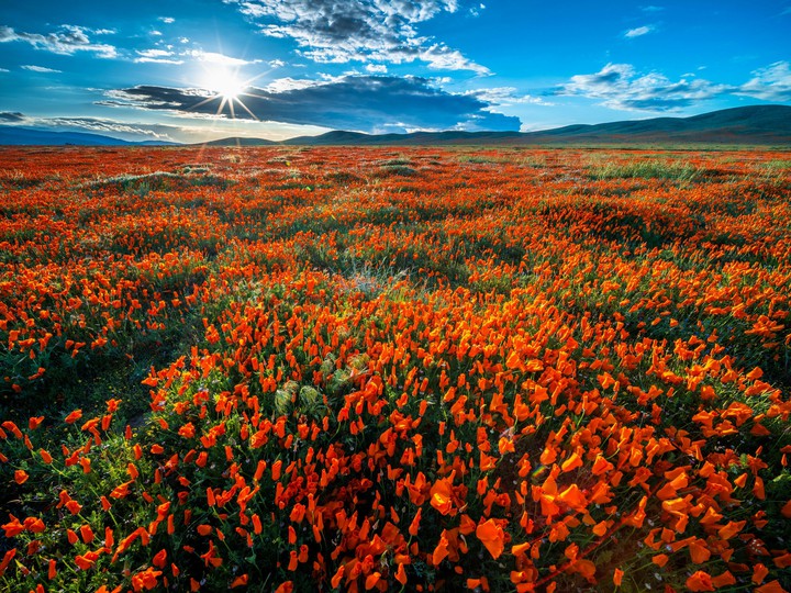 Nature's Beauty