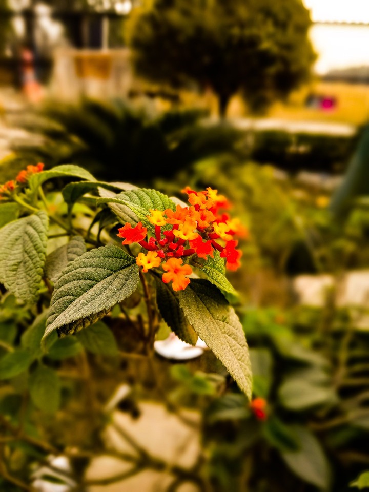 Beauty of World