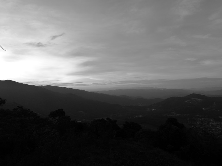 Broga
