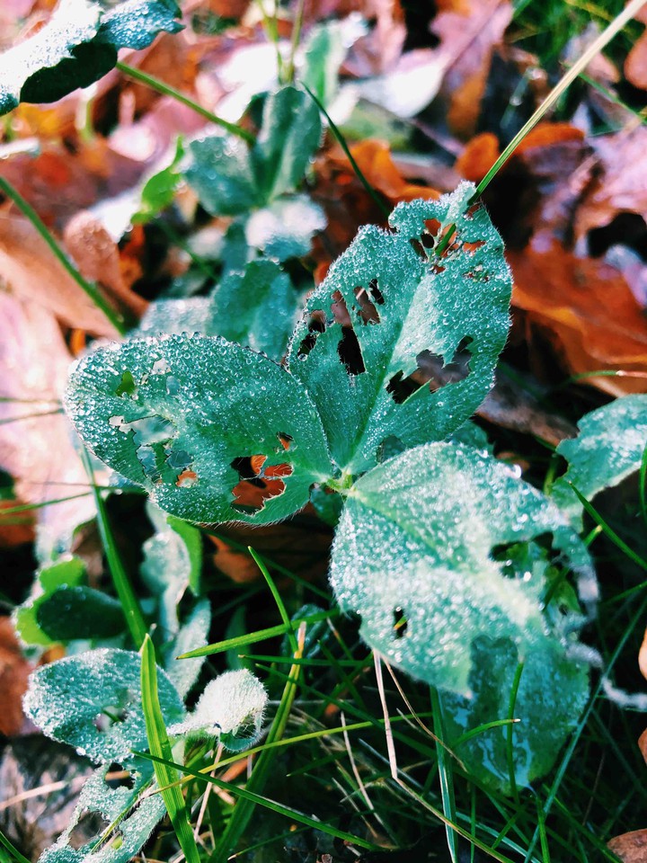 After rain
