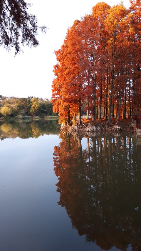 Autumn