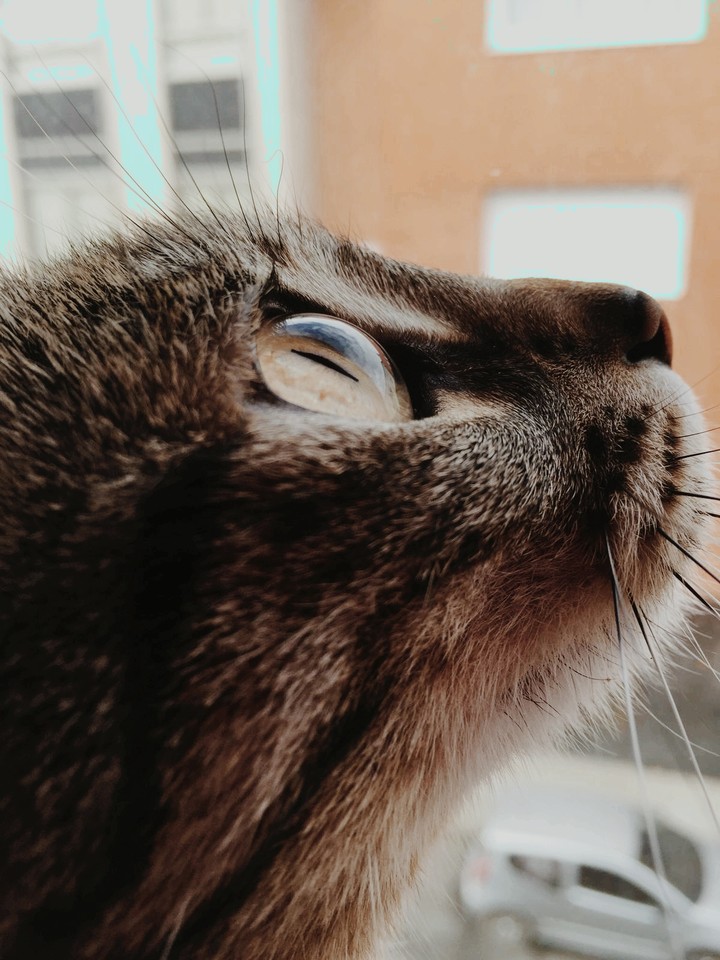 Miss Nina
