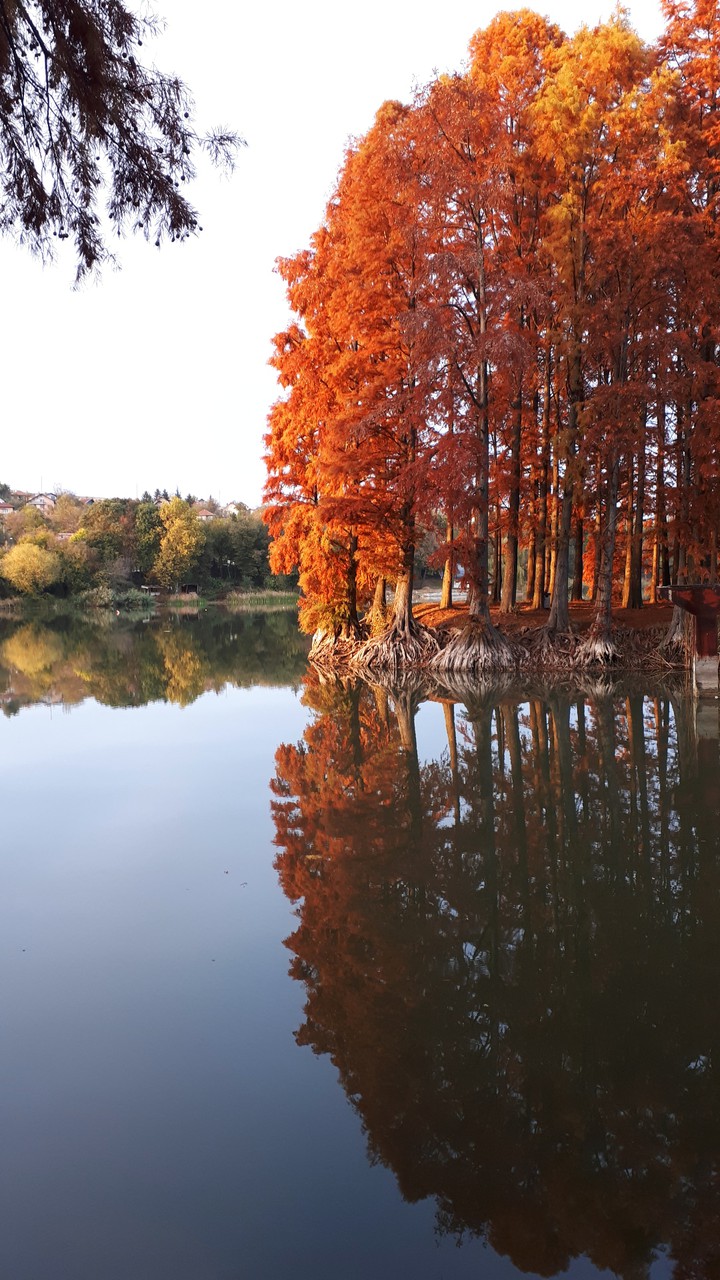 Autumn