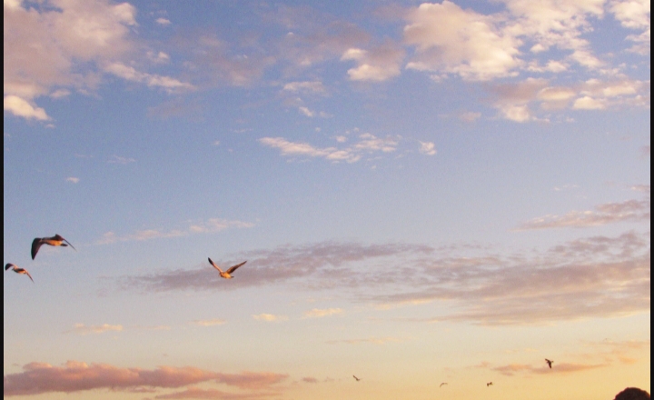Blue orange sunset