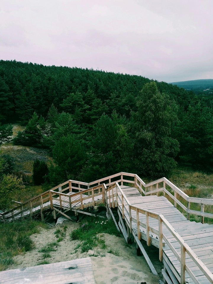 Curonian Spit (Gentiana)