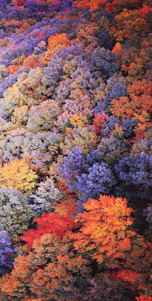 Autumn - month of my birthday :)