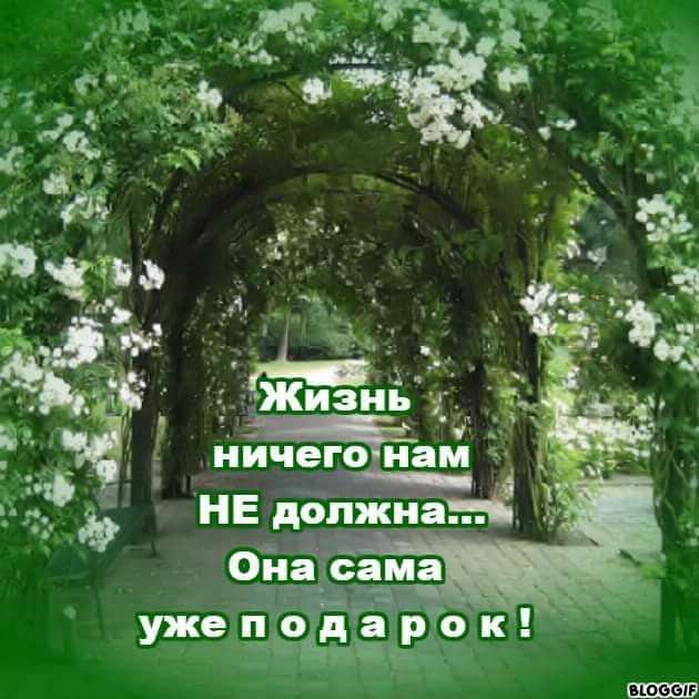 жизнь