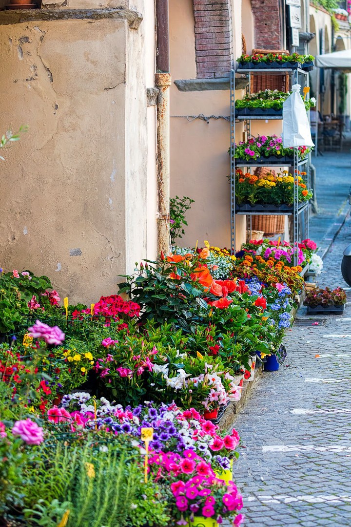 BEAUTIFUL ITALIAN COLORS