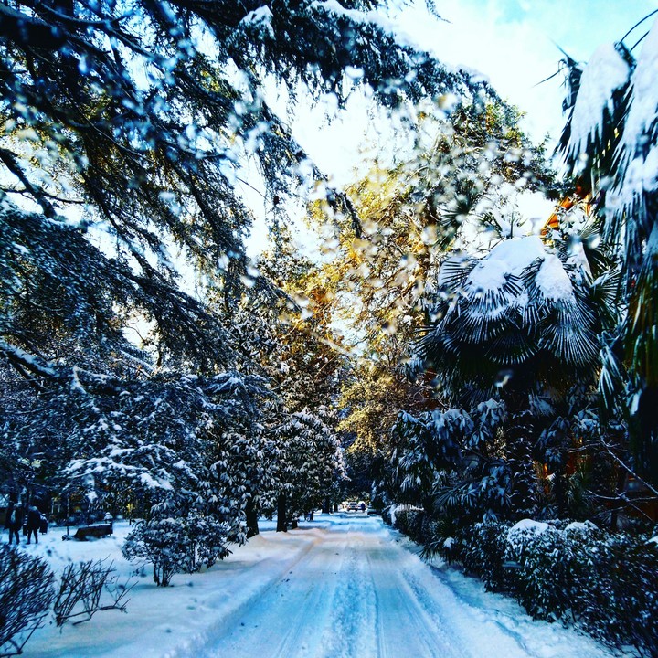 winter in the city