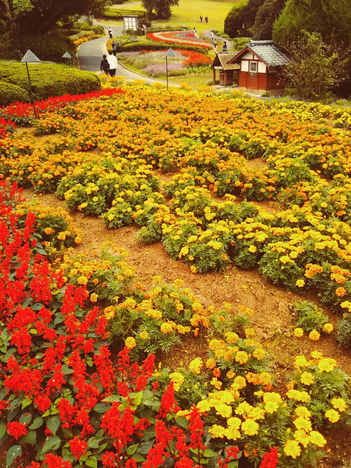 花園