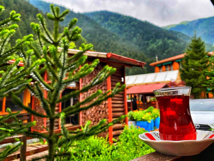 Tea is love
