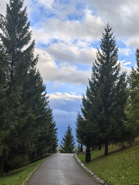 тапети larch, leaf