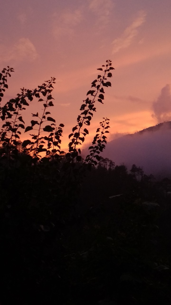 Nature