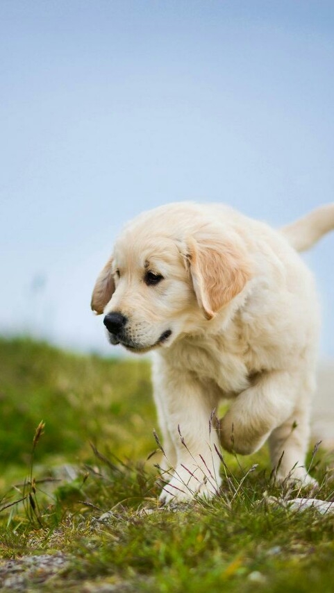 come on run with me