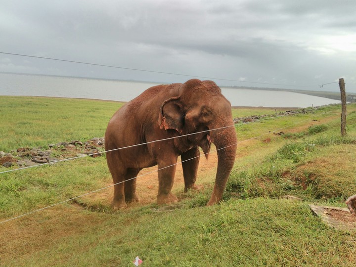 sri lanka