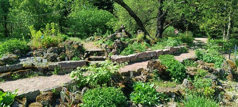 草地, wood壁纸