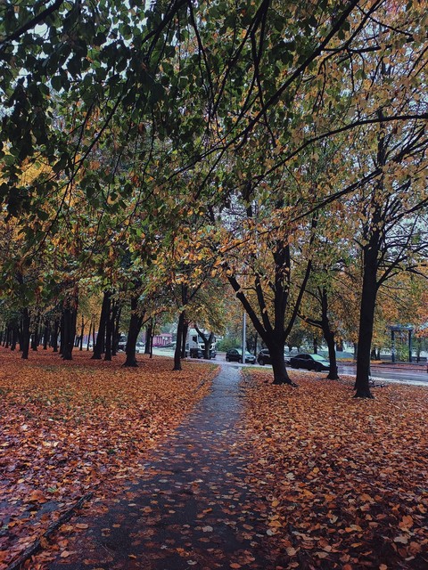 Осінь