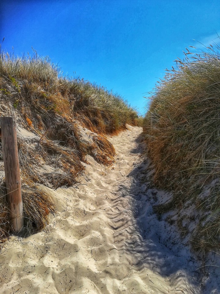 sandy