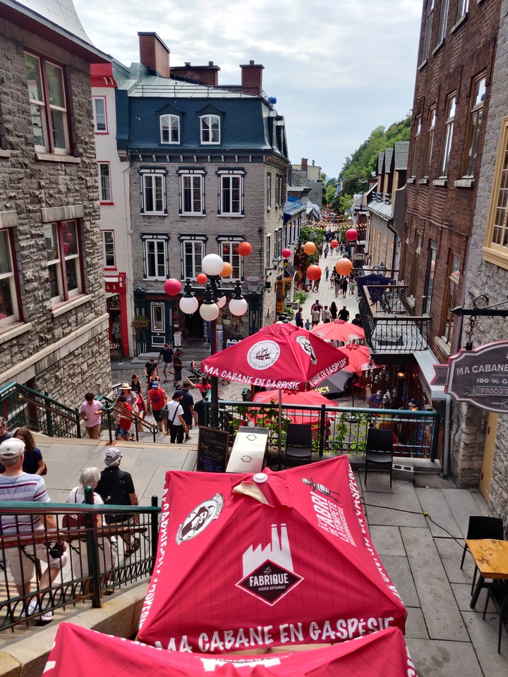 Quebec City Alive