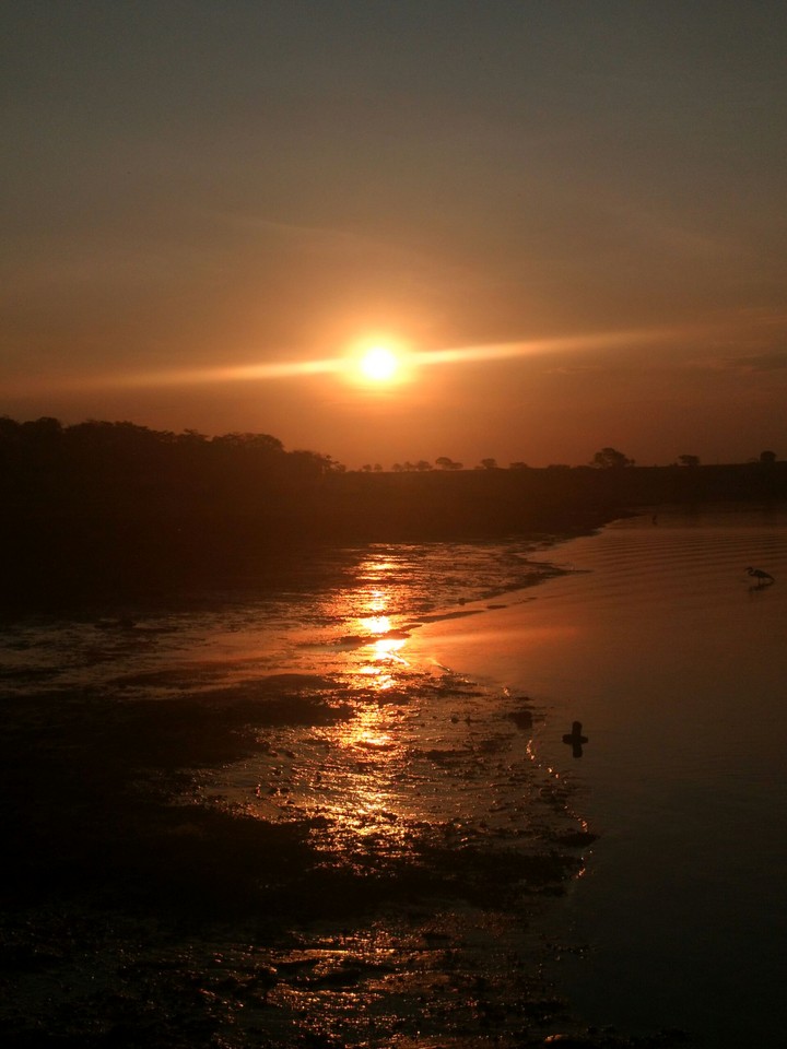 Guaraci, SP - Brazil