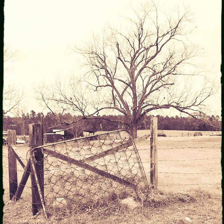 Dead Springs