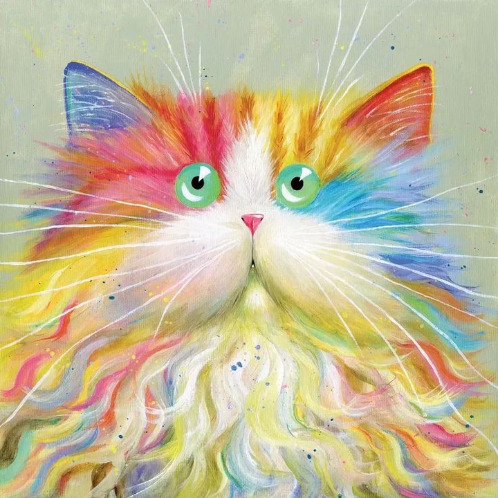 котя