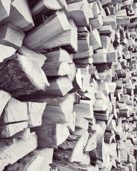 Wood