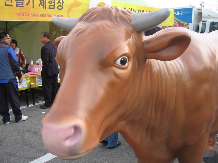 Animal