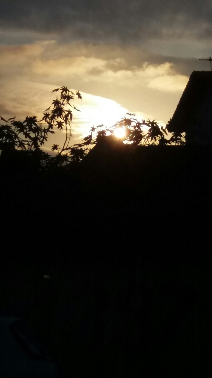 Sun