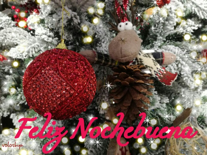 Feliz Nochebuena rojo christmas Navidad