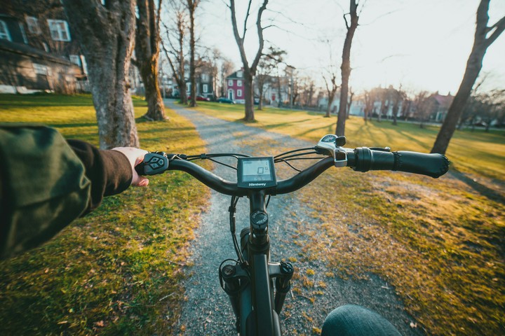 Enjoying The Morning Ride