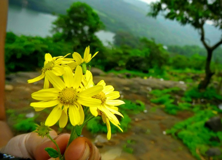 close click