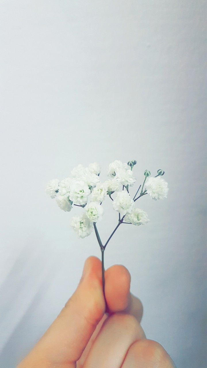 61