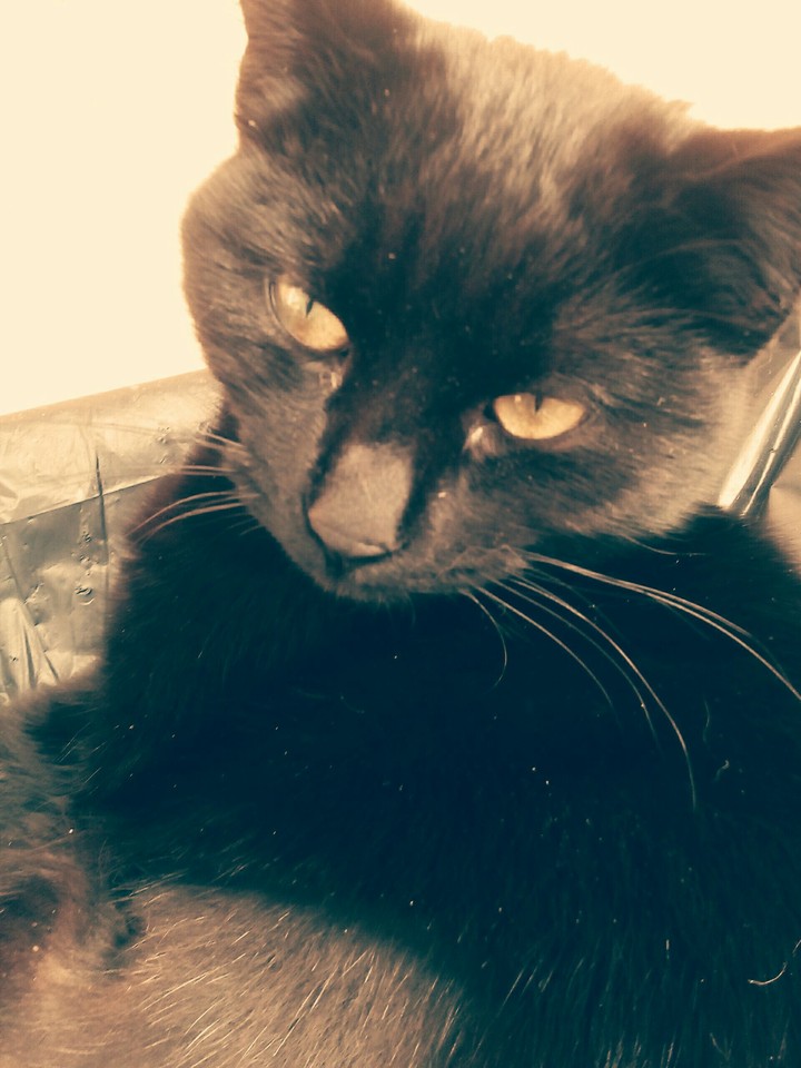 cloe