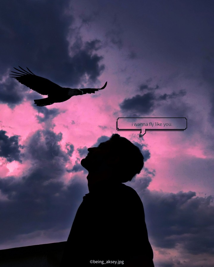 Dream