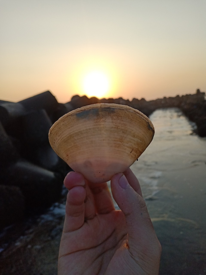 sun
