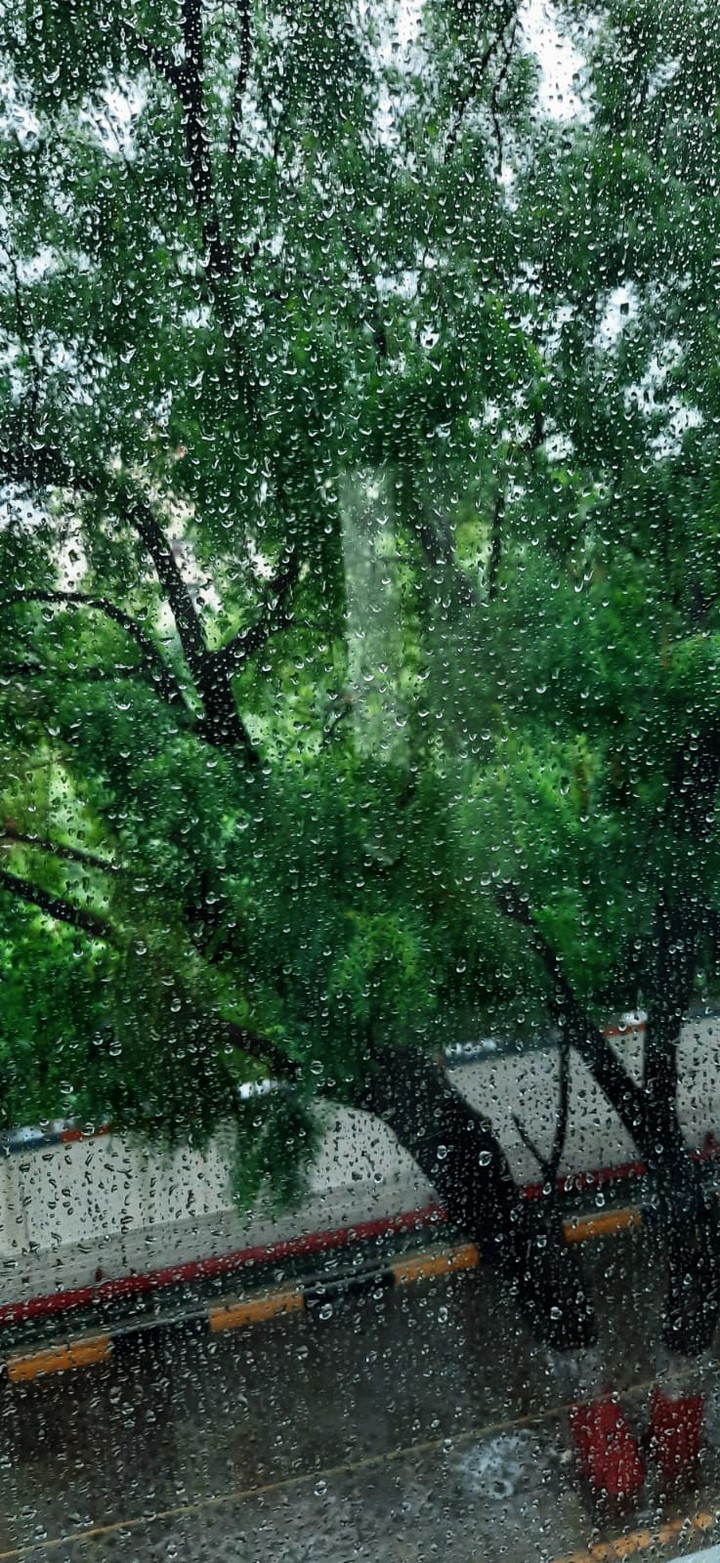 ?️ Rain ?️