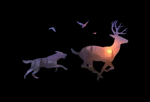 hunt