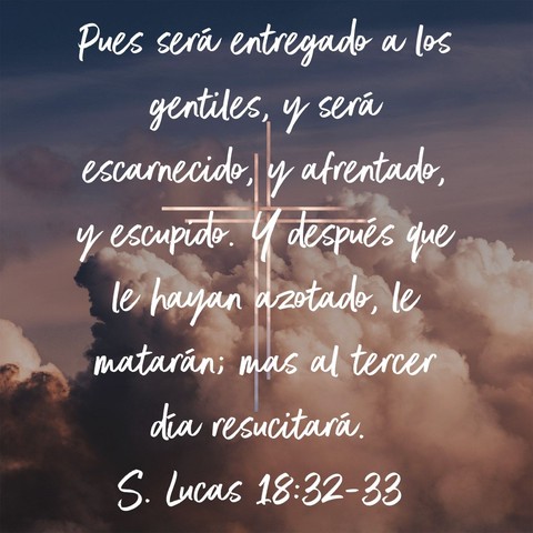 Versículos