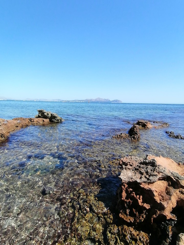 ocean